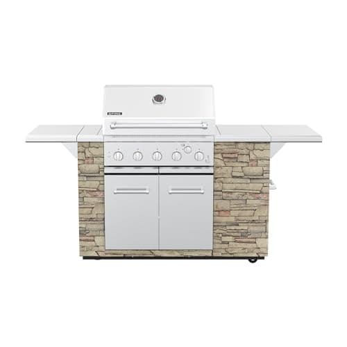 SPIRE Premium 5 Burner Built In Gas Grill Island Head, Stainless Steel 30 Inch Barbeque Grill with Rear Burner, 63,000 BTUs, 758 SQ In Racks, Propane Grill with Dual Fuel Compatibility – 860-0032